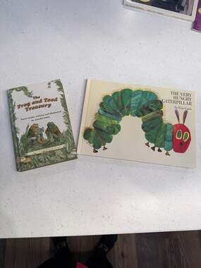 Lot of 2 Children's Books Hardcover Set